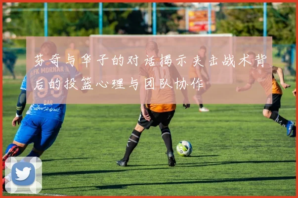芬奇与华子的对话揭示夹击战术背后的投篮心理与团队协作
