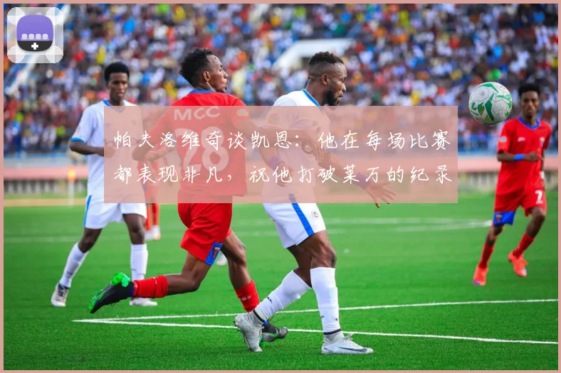 帕夫洛维奇谈凯恩：他在每场比赛都表现非凡，祝他打破莱万的纪录